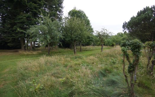 Baulücke in naturnaher Lage